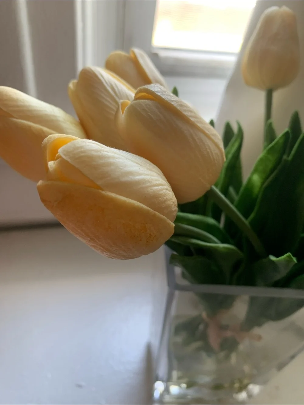 Elegant Cream Tulip Bouquet in Clear Vase - Home Accents